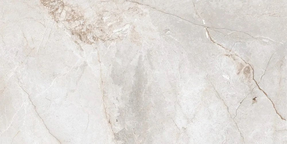 TSC PORCELAIN RECTIFIED 60X120