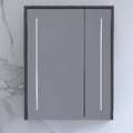 LED PLYWOOD CABINET MIRROR 550x120x700MM