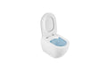 SANIBOLD RIMFLUSH WALL HUNG TOILET WITH HIDDEN FIXINGS