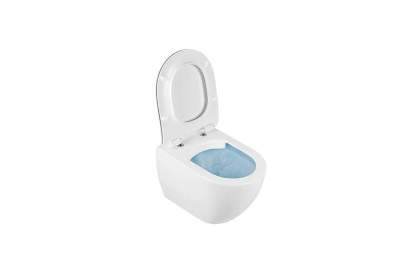 SANIBOLD RIMFLUSH WALL HUNG TOILET WITH HIDDEN FIXINGS