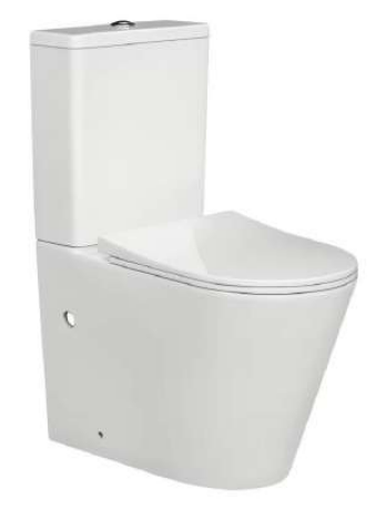 ZEN BACK TO WALL WC RIMLESS