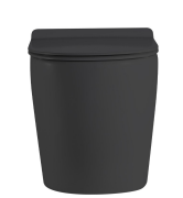 BLACK MATTE FLOOR STANDING RIMLESS WC