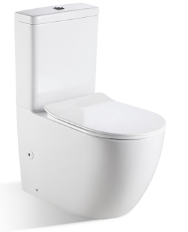 TWO-PIECE RIMLESS FLUSHING WC