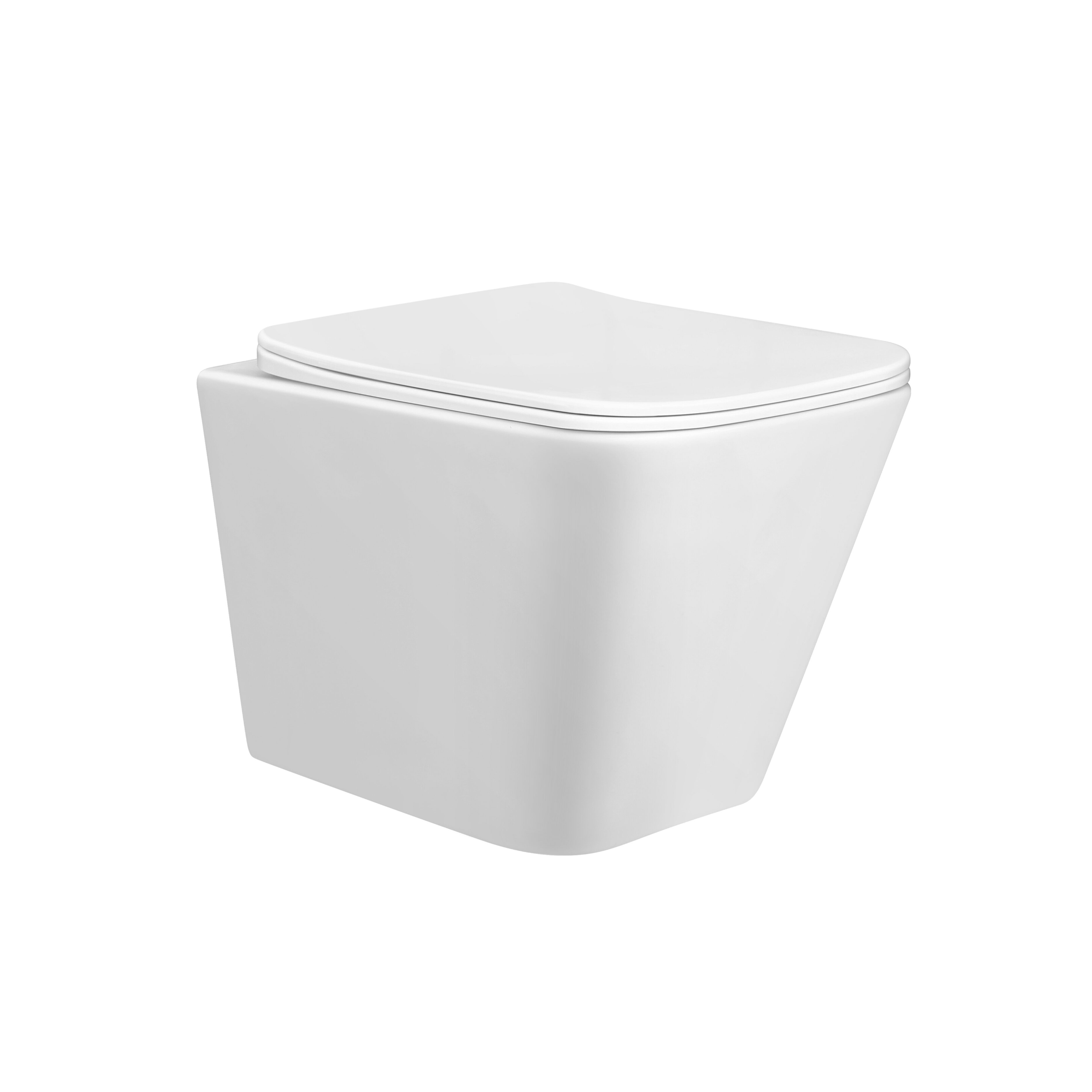 PAROS RIMLESS WALL HUNG TOILET