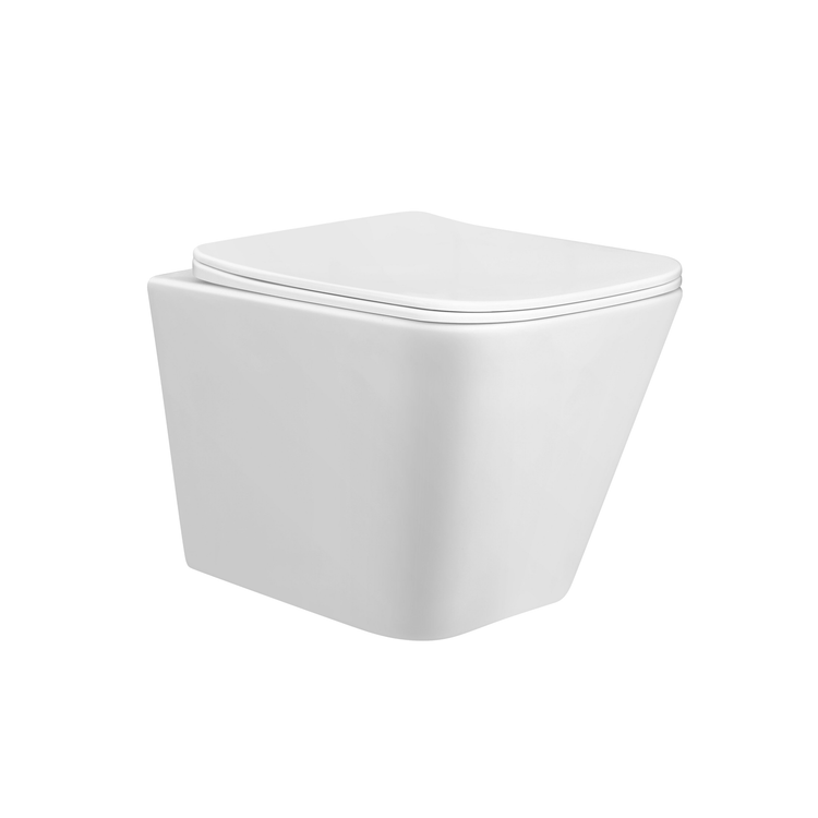 PAROS RIMLESS WALL HUNG TOILET