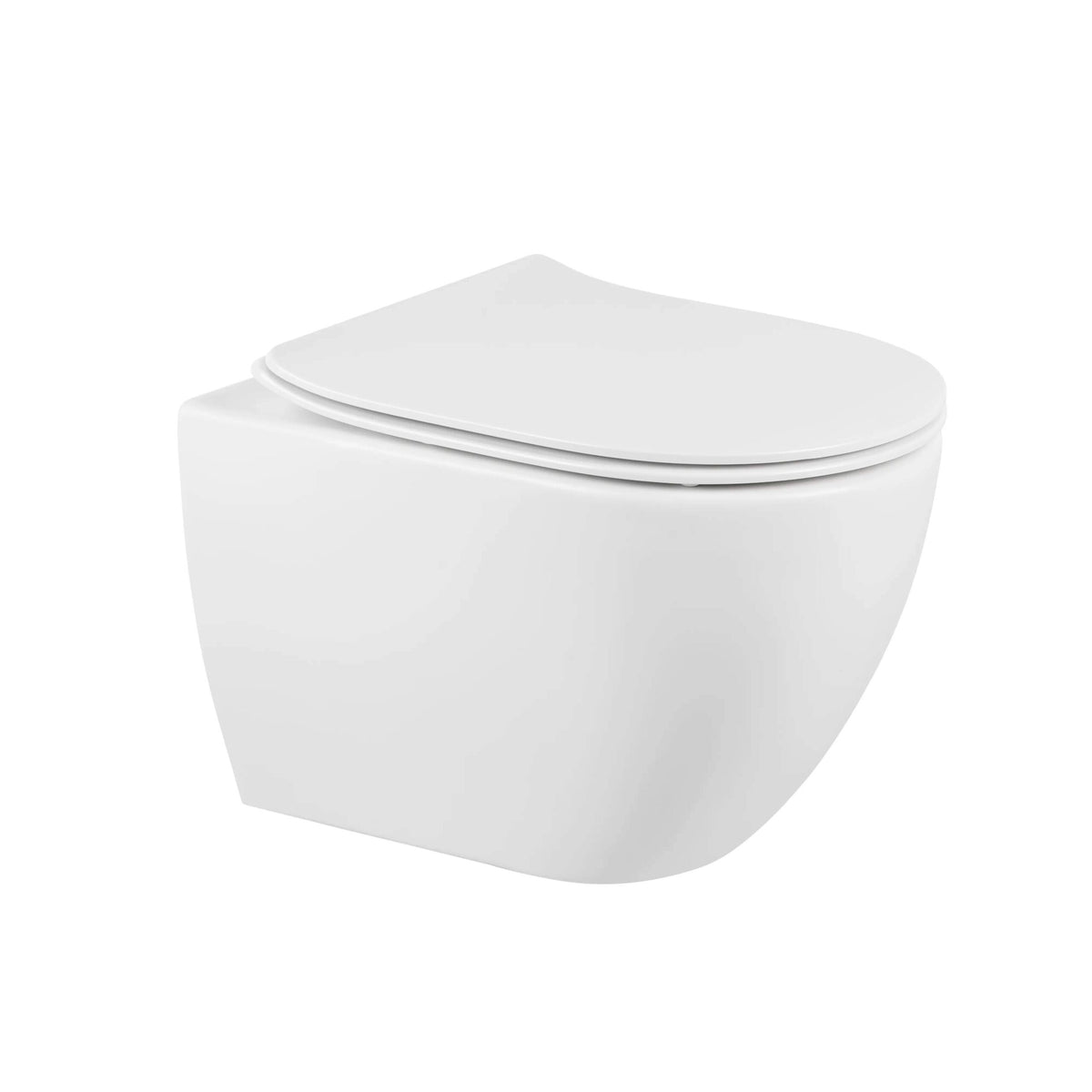 (137938004) SANIBOLD 50 COMPLETE WALL HUNG TOILET
